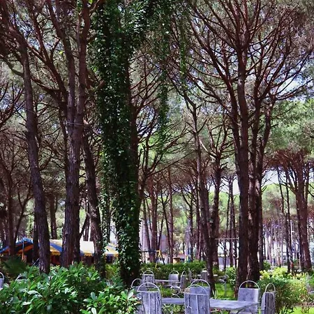 Hotel Pishat E Buta