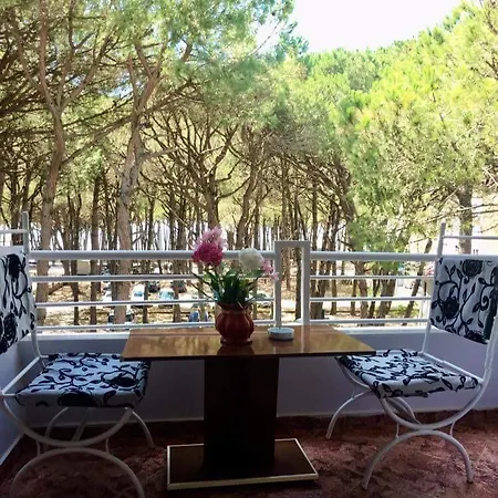 Hotel Pishat E Buta Golem (Tirana)