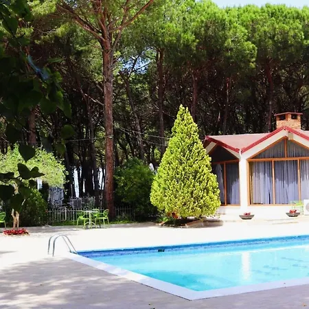 Pishat E Buta 28 Golem (Tirana)